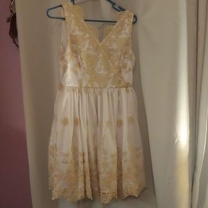 Gold and Lace Dress